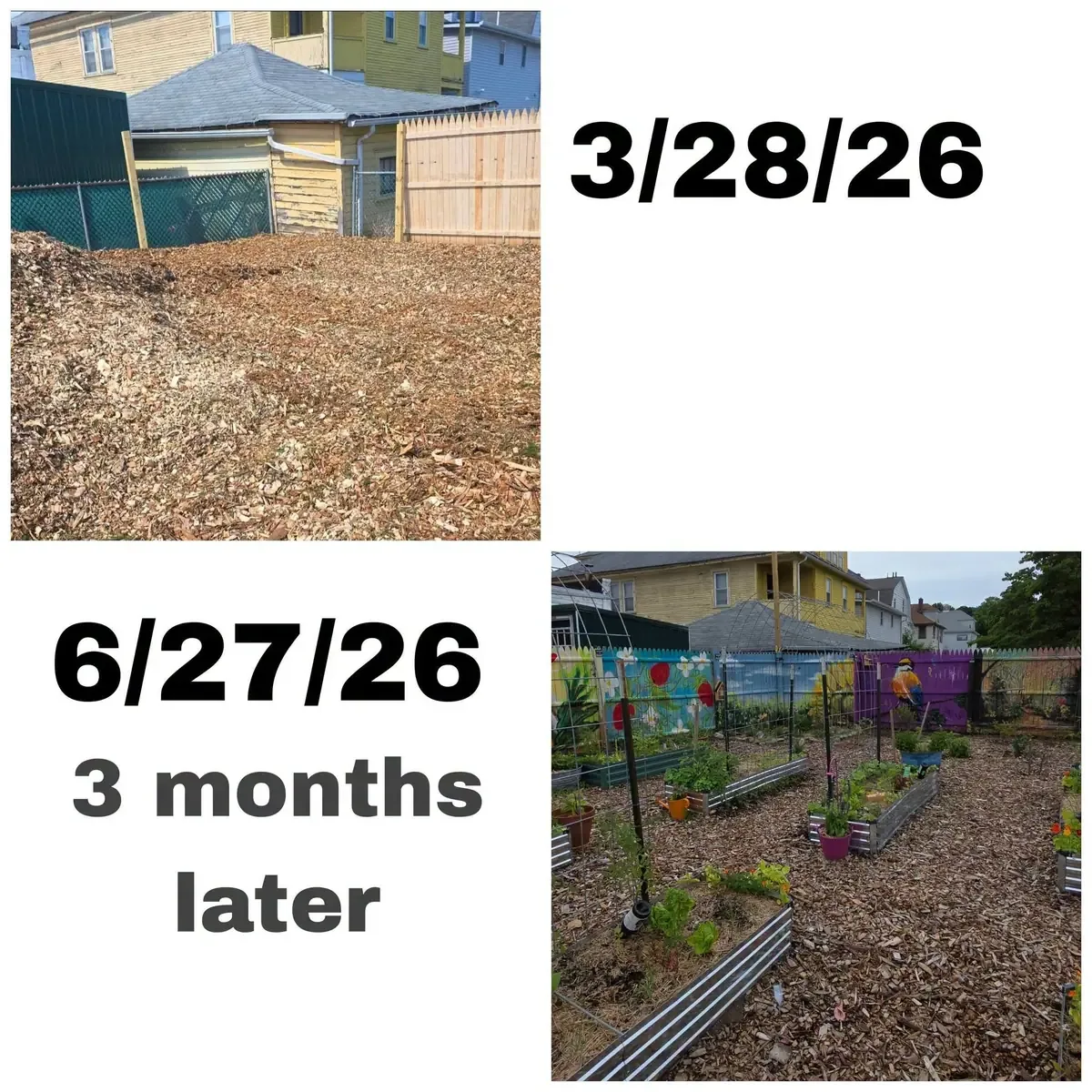 The Green Neighbors Network garden growing into a community space